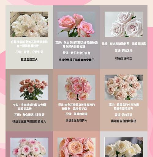 玫瑰如何养护？玫瑰养护秘籍是什么？