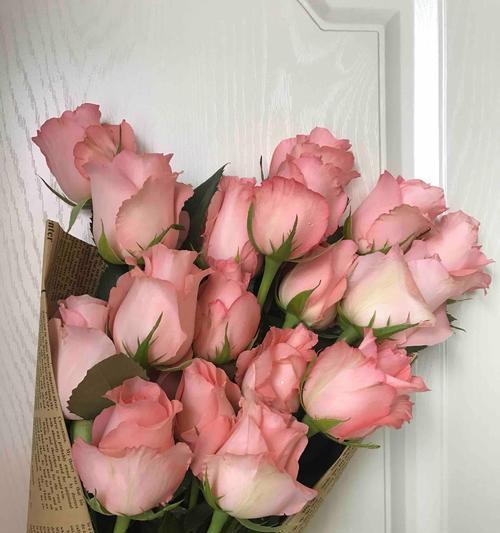 玫瑰13种颜色的花语是什么？如何成为送花高手？