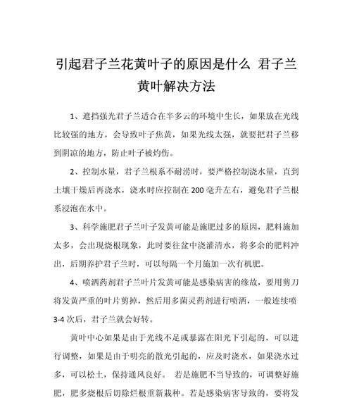 君子兰秋季黄叶问题的处理方法？