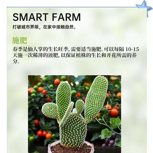 白花绿喉仙人球的养护技巧是什么？