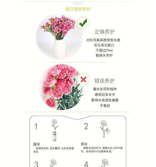 白色牡丹花老桩的养护方法有哪些？