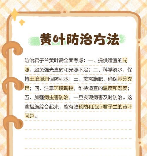 君子兰叶边发黄的处理方法是什么？