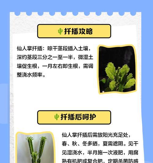 油蜡棒仙人掌的种植步骤是什么？