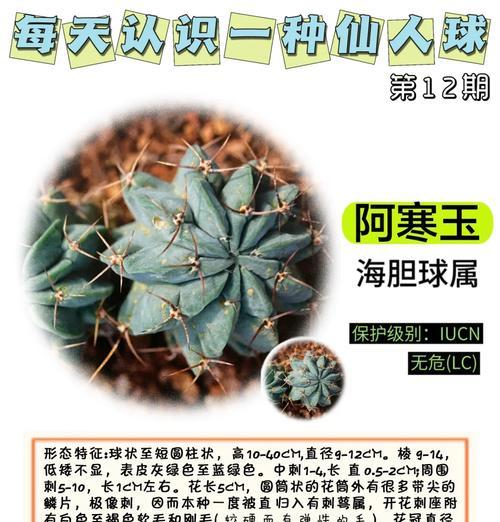无根仙人球种植的详细步骤图解？