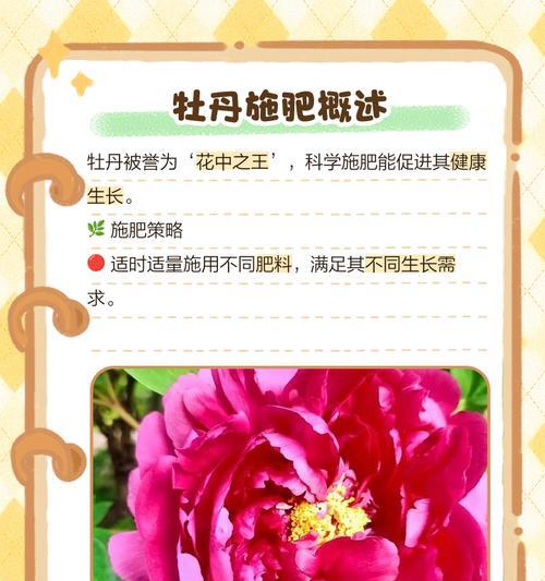 春季牡丹花追肥合适吗？正确的养护方法是什么？