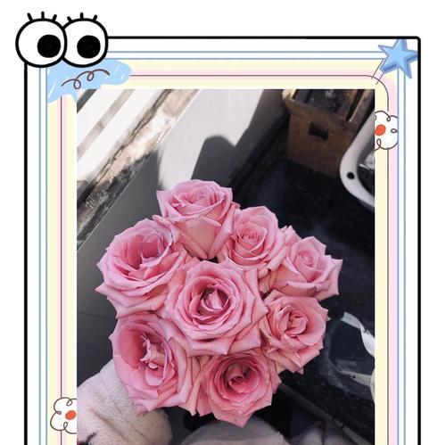 有哪些玫瑰花品种具有超长花期？它们的特点是什么？