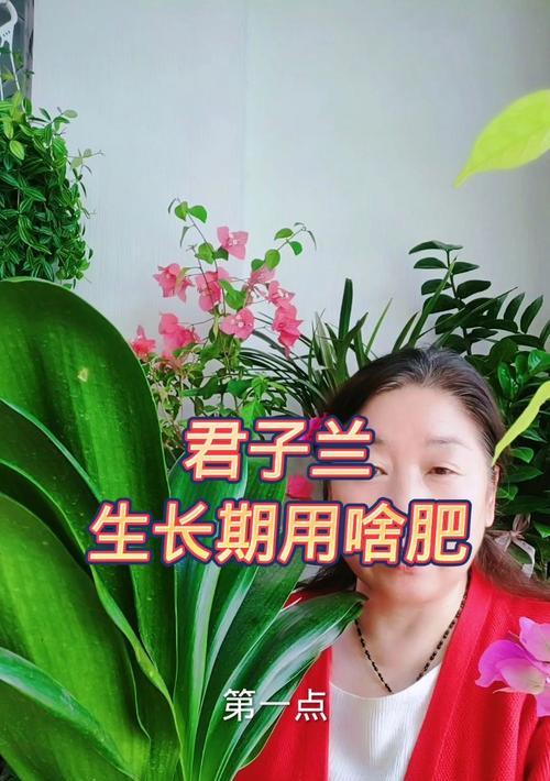 异花君子兰应该使用哪种肥料？