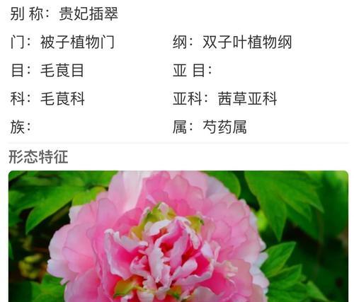 牡丹花通常在什么时候施肥？