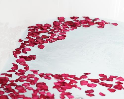 玫瑰花怎么晾花瓣？晾干后的花瓣如何保存？