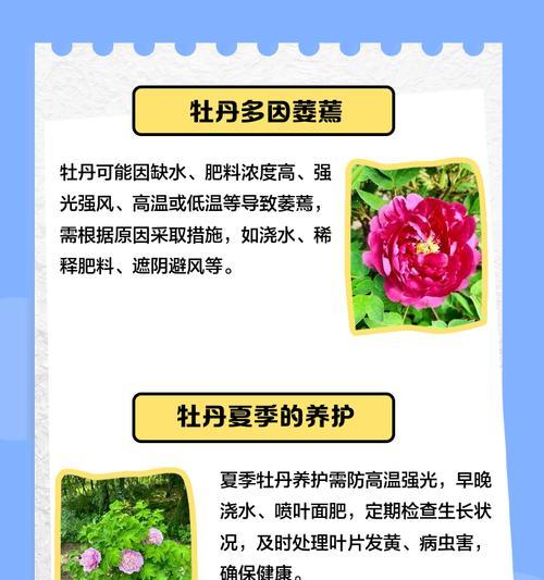 牡丹花可以加什么肥料？施肥牡丹花的正确方法是什么？