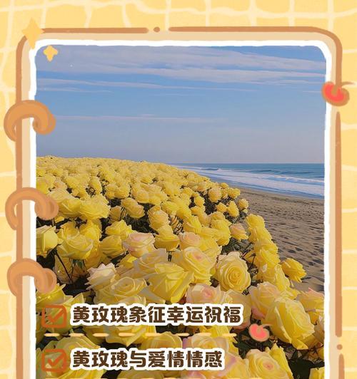 带刺黄玫瑰花怎么养护好？带刺黄玫瑰花的养护技巧是什么？