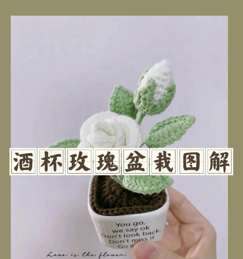 酒杯玫瑰花怎么插？酒杯玫瑰花的插花技巧有哪些？