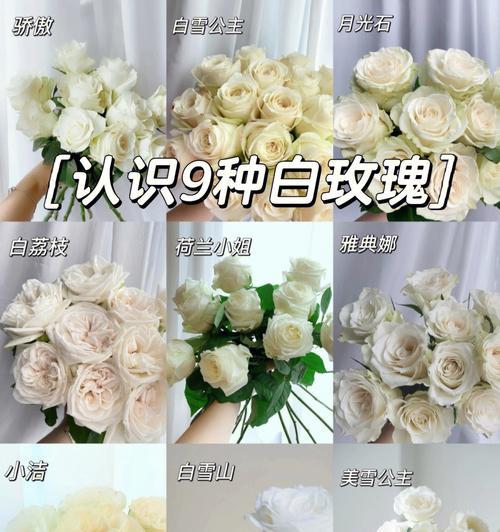 白色花语代表纯洁浪漫吗？