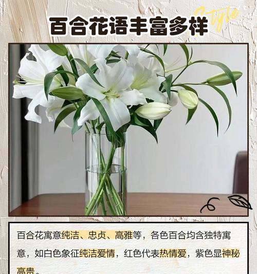 花语送人和场合选择有什么讲究？