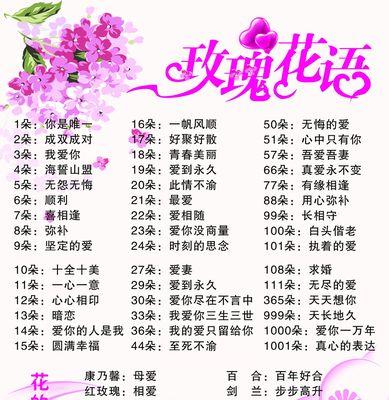 花语玫瑰粉底液的花语是什么？适合什么场合使用？
