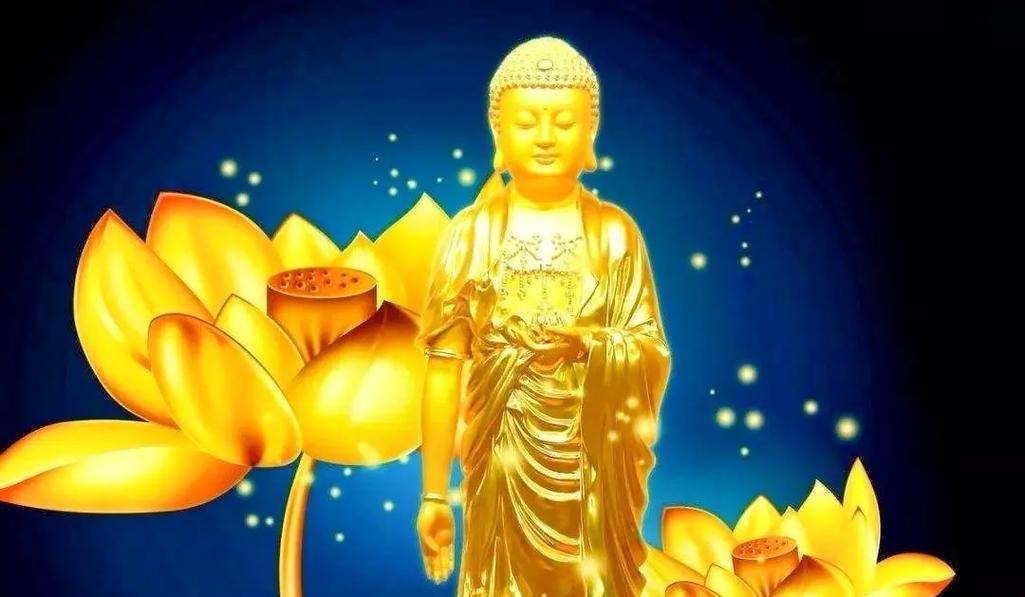 苹婆的花语是什么？如何理解“悟随缘”？