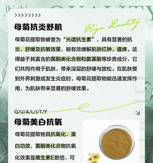 母菊花语是什么？母菊在花语中代表了什么？