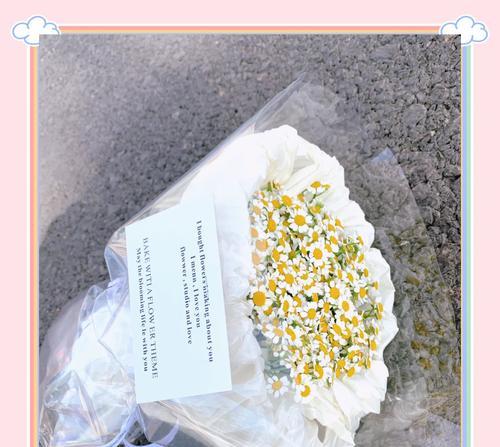 母菊花语是什么？母菊在花语中代表了什么？