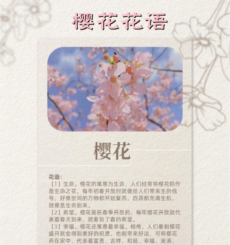 爱与未来的花语是什么？表达爱与未来的花卉有哪些？