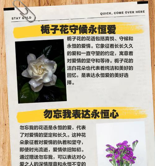 爱与未来的花语是什么？表达爱与未来的花卉有哪些？