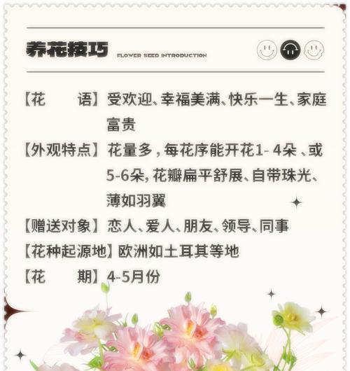 牡丹的花语有哪些？它背后的故事是什么？