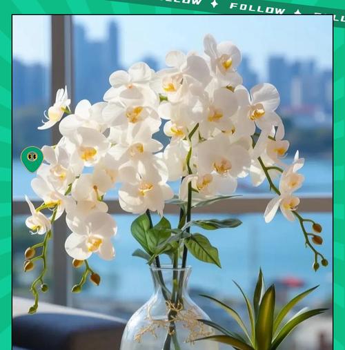哪种花象征着付出？它的花语有何深层含义？