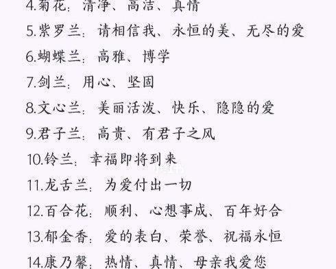 千瓣葵的花语是什么？如何用它来表达爱意？