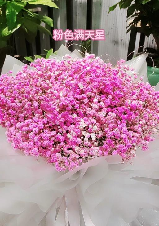 粉色剪夏罗的花语是什么？它在夏季的寓意是什么？