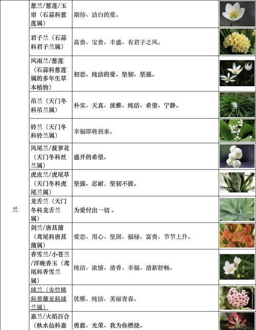 花语有哪些代表意义？如何通过花语传达情感？