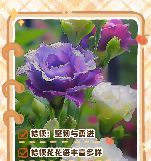 花语有哪些代表意义？如何通过花语传达情感？