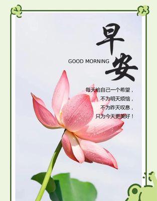 荷的名称有哪些？每种荷的花语是什么？