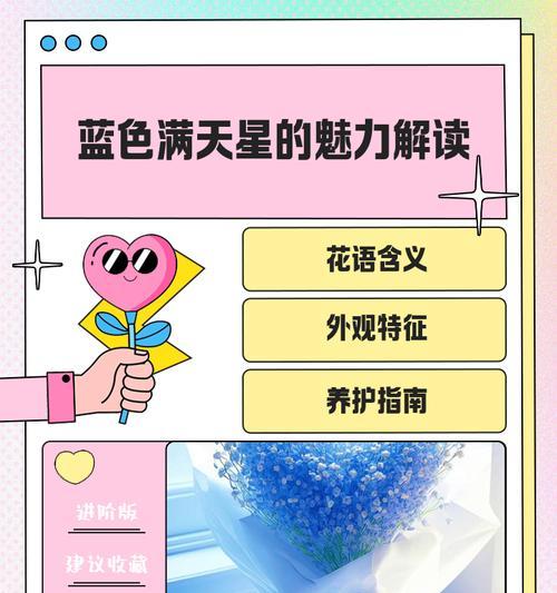 满天花语有哪些含义？如何理解？