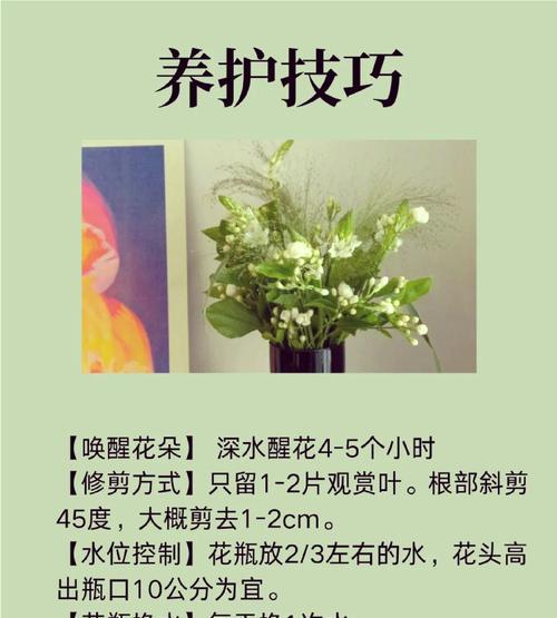 各种花朵的名字和花语分别是什么？