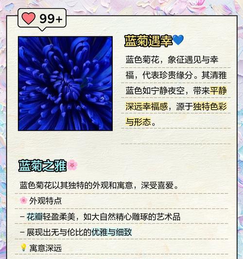 菊花有哪些花语？在不同场合的用途是什么？