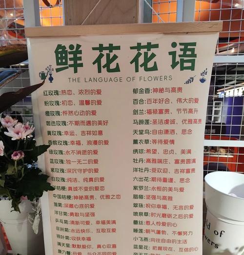虔诚的爱的花有哪些？它们的花语是什么？