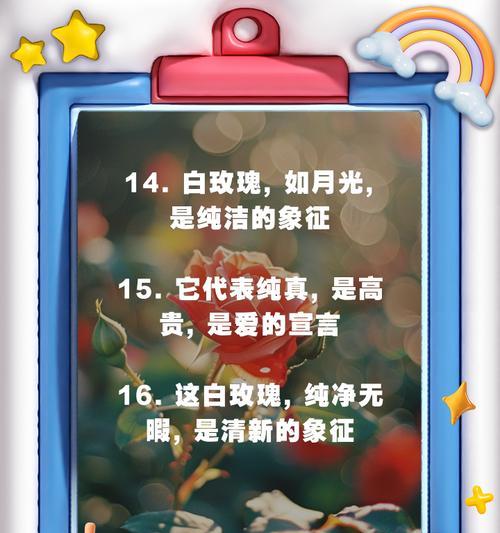 白玫瑰作为医生的花语是什么？有何寓意？