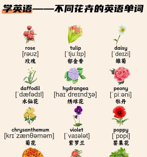 哪些花的花语代表母性？母性花语的含义是什么？