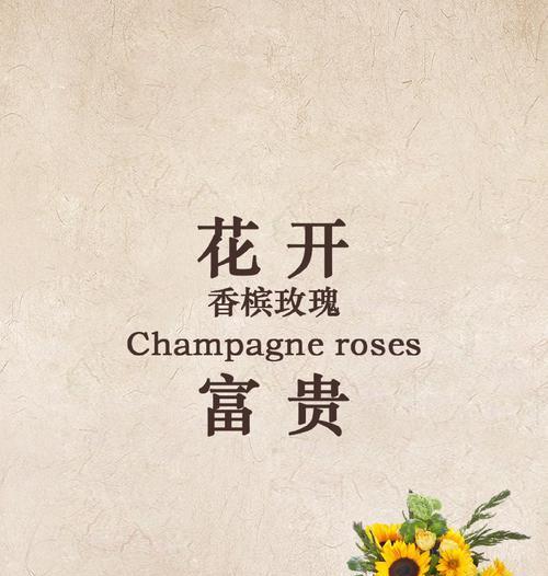 香滨玫瑰的花语是什么？它在爱情中象征着什么？