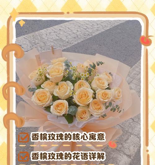 香滨玫瑰的花语是什么？它在爱情中象征着什么？