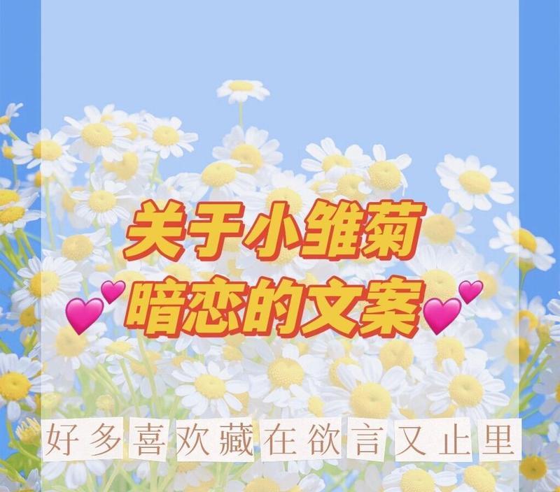雏菊花的花语是什么？它在花语中代表什么？
