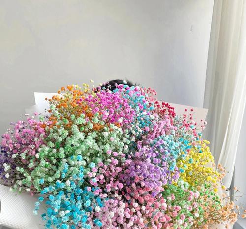 满天星银色品种的花语是什么？
