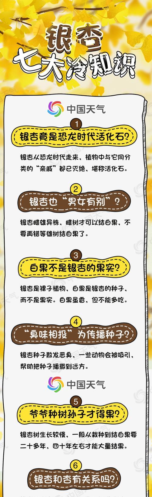 银杏花语背后有哪些传说故事？