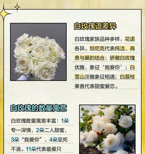 玫瑰花语真的无语了吗？玫瑰代表什么？
