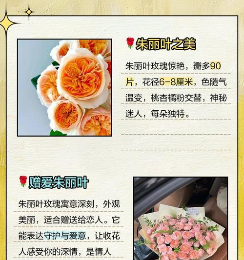 玫瑰花语真的无语了吗？玫瑰代表什么？