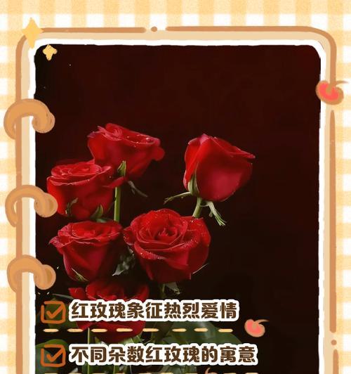 玫瑰花语真的无语了吗？玫瑰代表什么？