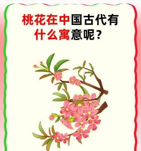 桃花花语的由来是什么？它代表了什么？