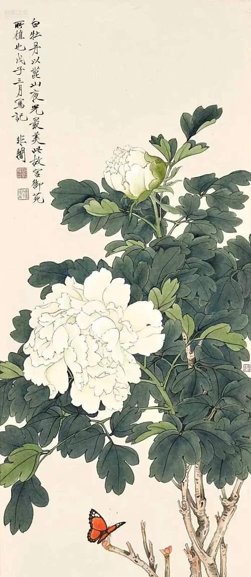 粉牡丹的花语和寓意是什么？适合送什么人？