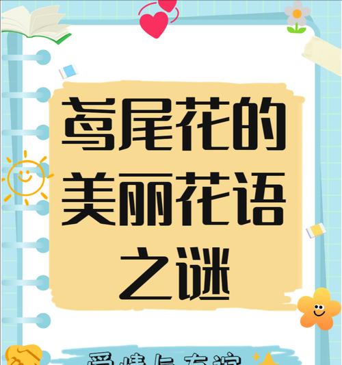 灰色红玫瑰的花语是什么？它有何特别含义？