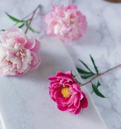 核桃花束的花语是什么？它适合什么场合？