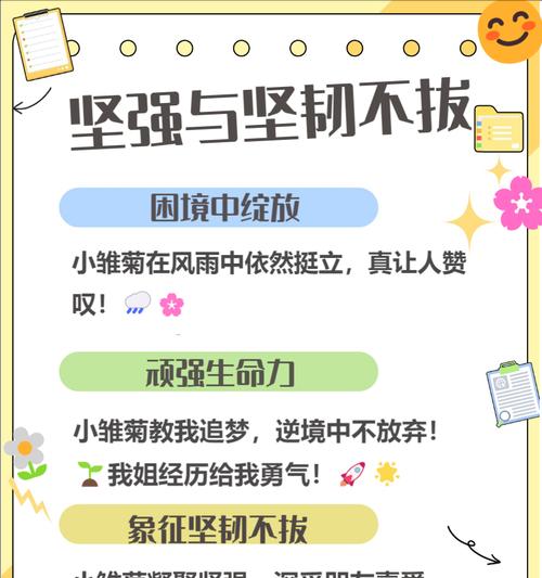 阴阳小雏菊的花语寓意是什么？